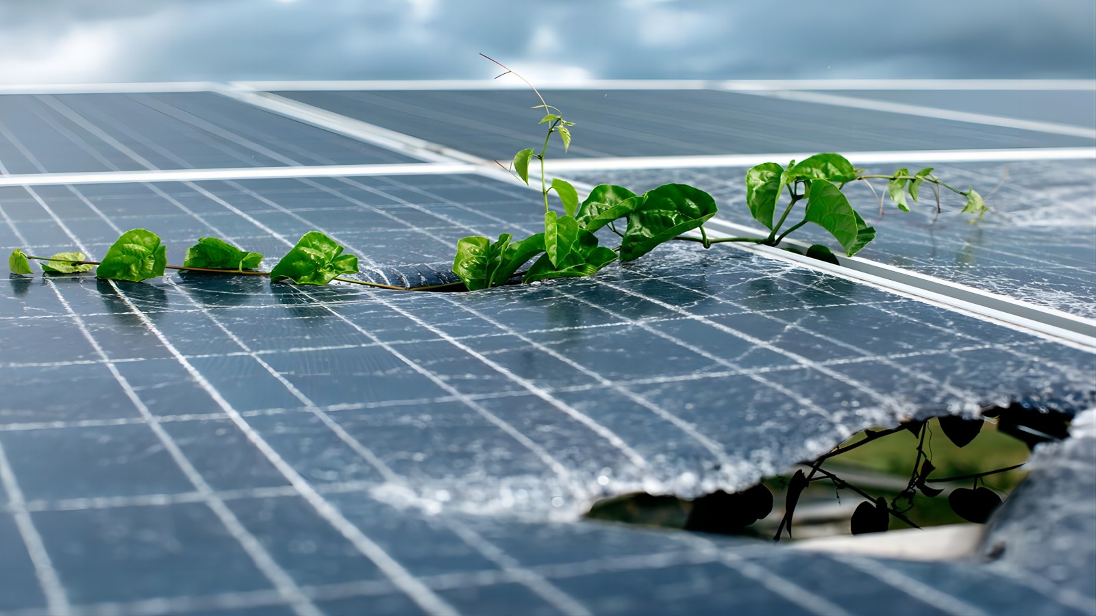 A complete guide for solar panel recycling